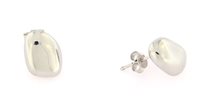 Orecchini Forever Gioielli Donna Orecchini Argento in Argento FGOR00444 - FGOR00444